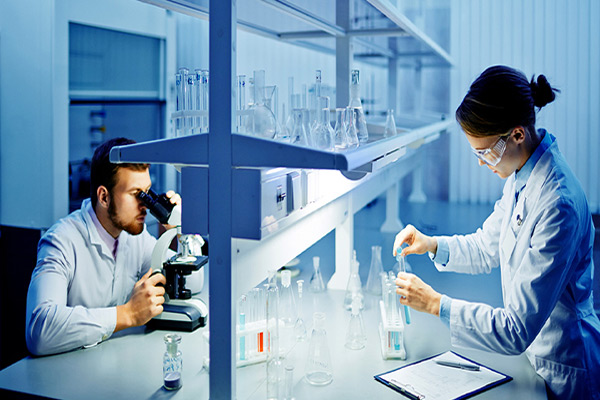 Lab Software